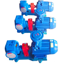 Factory Price Durable and Stable Performance Internal Gear Pump Asphalt Insulation Pump